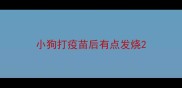 小狗打疫苗后有点发烧