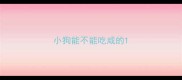 小狗能不能吃咸的