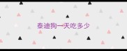 泰迪狗一天吃多少