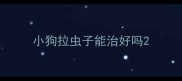小狗拉虫子能治好吗