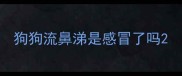 狗狗流鼻涕是感冒了吗