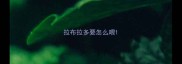 拉布拉多要怎么喂