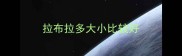 拉布拉多大小比较好