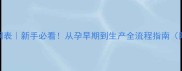 母犬怀孕时间表新手必看从孕早期到生产全流程指南附接产清单