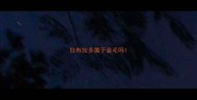 拉布拉多属于金毛吗