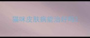 猫咪皮肤病能治好吗