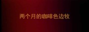 两个月的咖啡色边牧
