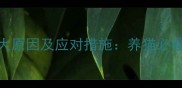 猫咪消瘦的7大原因及应对措施养猫必看的健康指南
