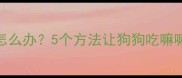 幼犬拉布拉多挑食怎么办5个方法让狗狗吃嘛嘛香附防挑食食谱