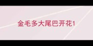金毛多大尾巴开花