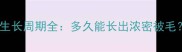 边境牧羊犬毛发生长周期全多久能长出浓密被毛科学护理指南