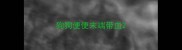 狗狗便便末端带血