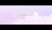 养一只哈士奇幼犬