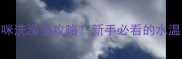 三个月大猫咪洗澡全攻略新手必看的水温时间禁忌事项