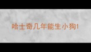 哈士奇几年能生小狗