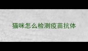 猫咪怎么检测疫苗抗体