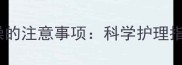 拉布拉多打针后洗澡的注意事项科学护理指南附操作步骤