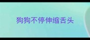 狗狗不停伸缩舌头