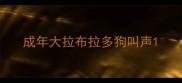 成年大拉布拉多狗叫声