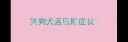 狗狗犬瘟后期症状
