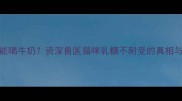 成年猫咪能不能喝牛奶资深兽医猫咪乳糖不耐受的真相与科学饮奶指南