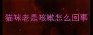 猫咪老是咳嗽怎么回事