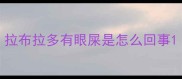 拉布拉多有眼屎是怎么回事