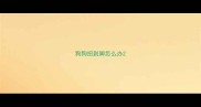 狗狗扭到脚怎么办