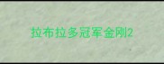拉布拉多冠军金刚