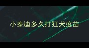小泰迪多久打狂犬疫苗