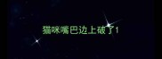 猫咪嘴巴边上破了