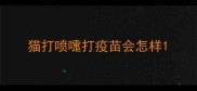 猫打喷嚏打疫苗会怎样