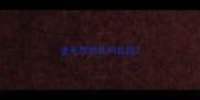 金毛忽然乱叫乱跑