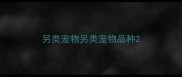 另类宠物另类宠物品种