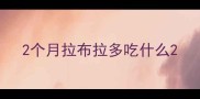 2个月拉布拉多吃什么