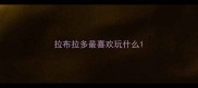拉布拉多最喜欢玩什么