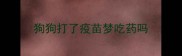 狗狗打了疫苗梦吃药吗