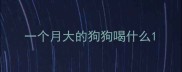 一个月大的狗狗喝什么