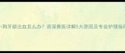 小狗牙龈出血怎么办资深兽医详解5大原因及专业护理指南