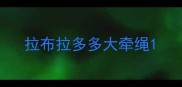拉布拉多多大牵绳