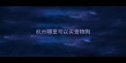 杭州哪里可以买宠物狗