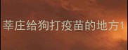 莘庄给狗打疫苗的地方