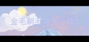 金毛剃毛留多少钱