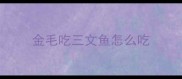 金毛吃三文鱼怎么吃