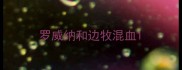 罗威纳和边牧混血