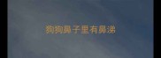 狗狗鼻子里有鼻涕