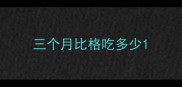 三个月比格吃多少
