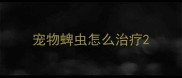 宠物蜱虫怎么治疗