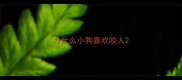 为什么小狗喜欢咬人