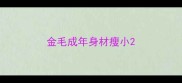 金毛成年身材瘦小